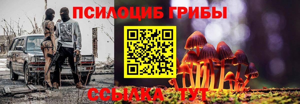 Псилоцибиновые грибы Magic Shrooms Туапсе