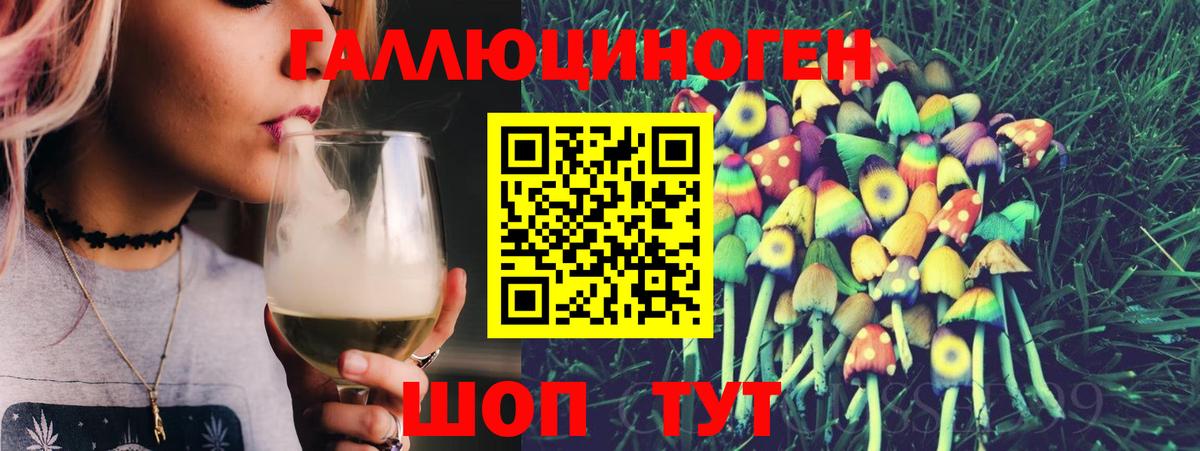 Галлюциногенные грибы Psilocybe  магазин продажи наркотиков  Туапсе  Вход с VPN 